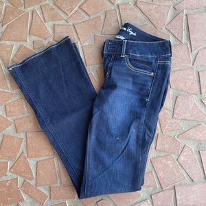 American Eagle 🦅 Artist Jeans 6 Long